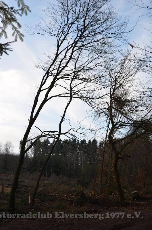 Wandertag 2013 - 015.JPG